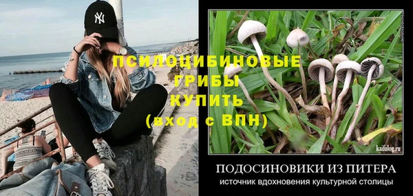 прущие крисы Ладушкин