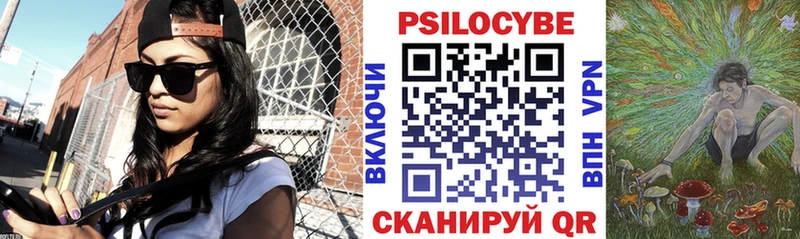 Купить закладки  Дзержинск  Галлюциногенные грибы мухоморы 